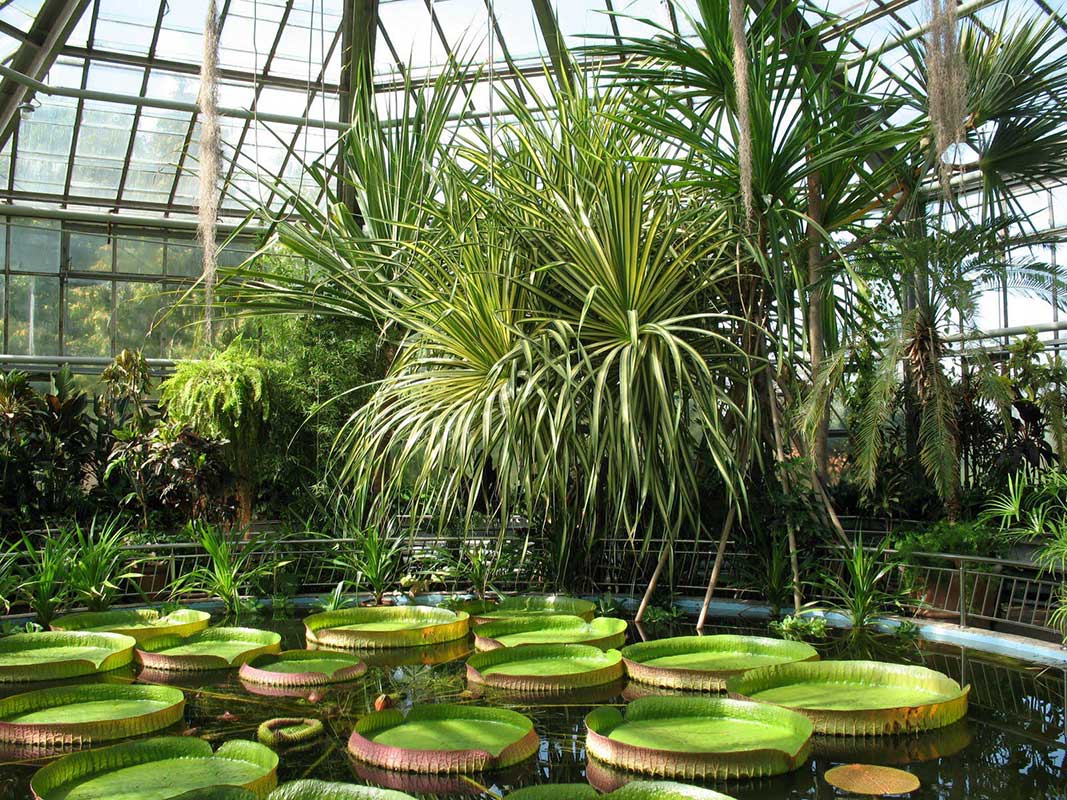 Grădina botanică, Cluj-Napoca